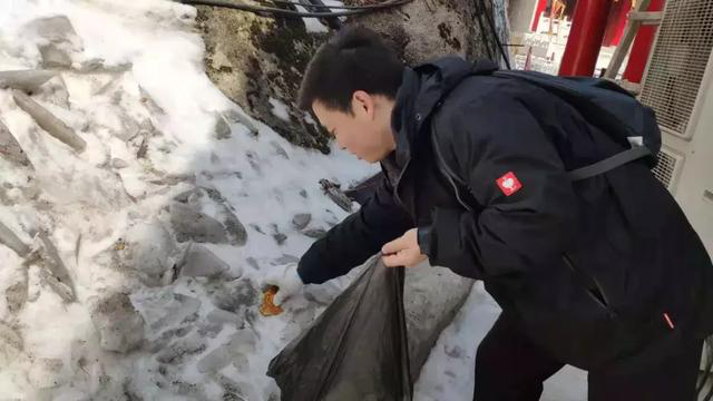 【华山西峰索道】太华索道公司组织干部职工开展学雷锋志愿服务活动(图14)