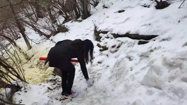 【华山西峰索道】太华索道公司组织干部职工开展学雷锋志愿服务活动(图11)