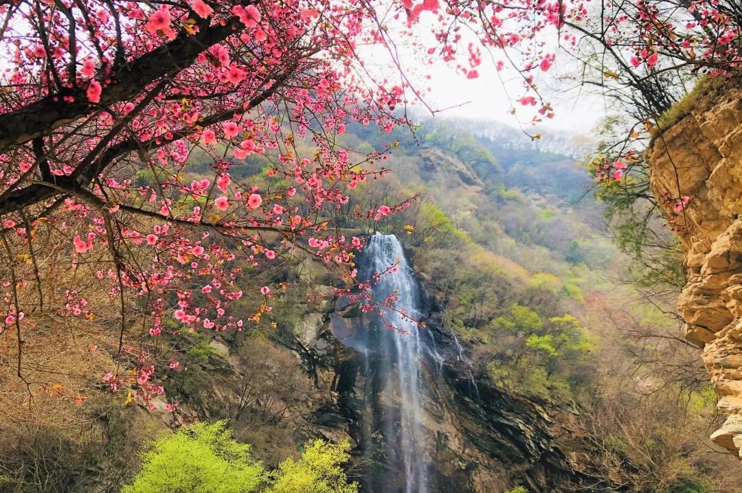(图7)