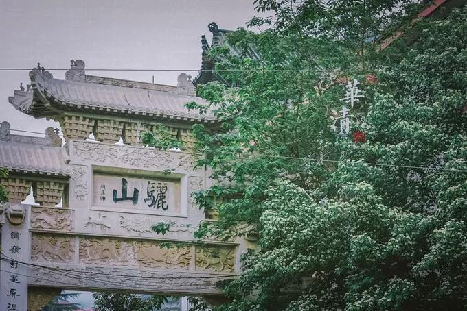 (图3)