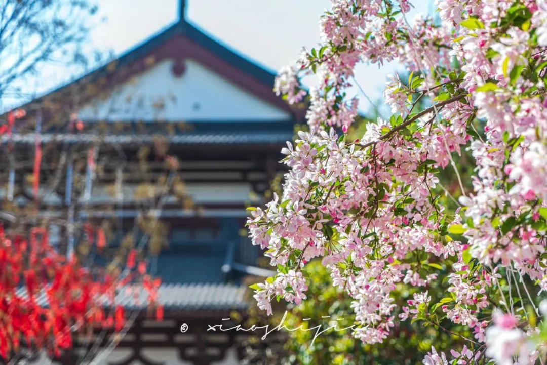 (图1)