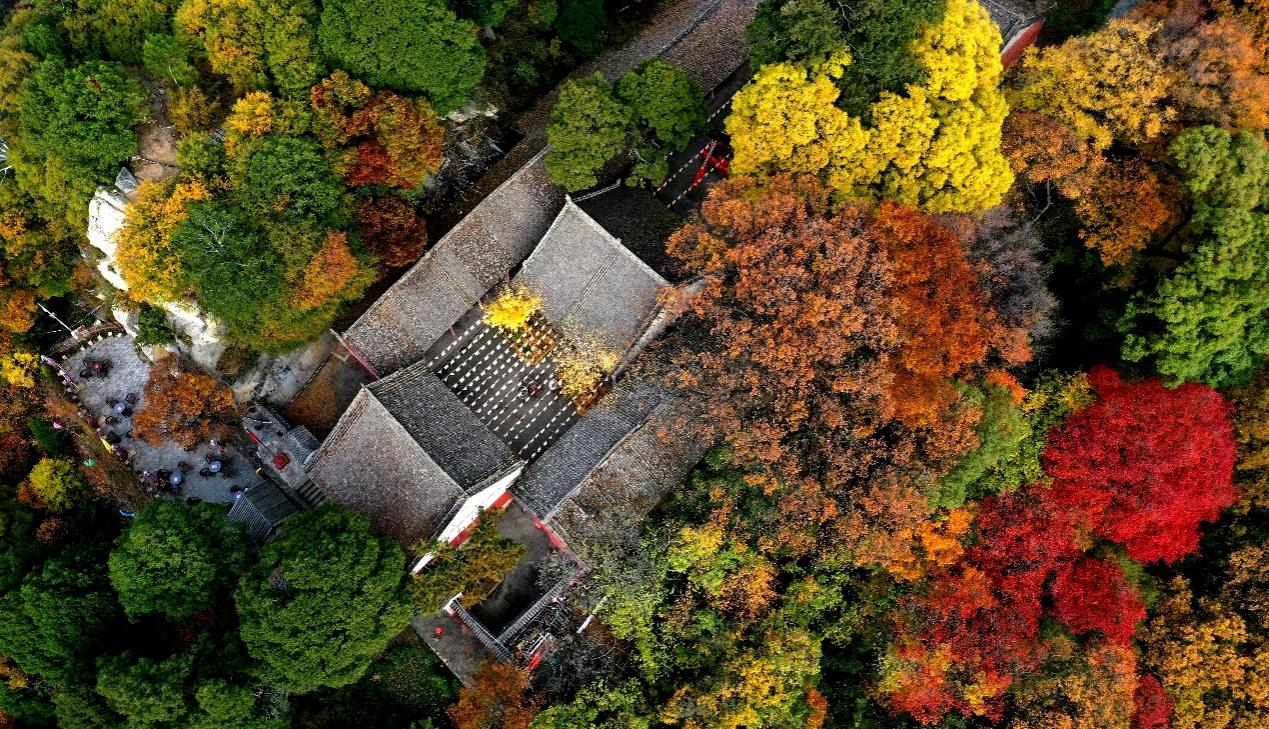 少华山索道(图2) 少华山索道(图2)