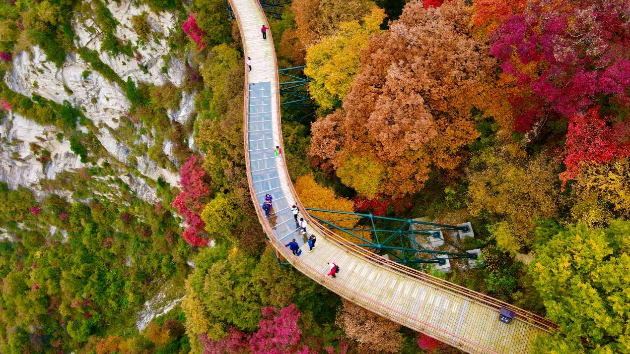 少华山索道(图4)